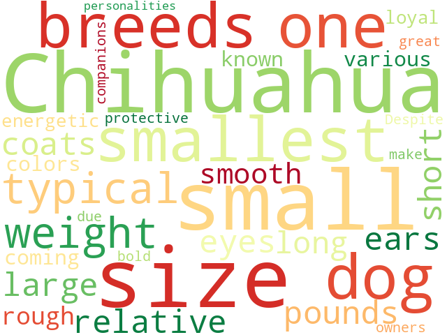 Word Cloud for chihuahua