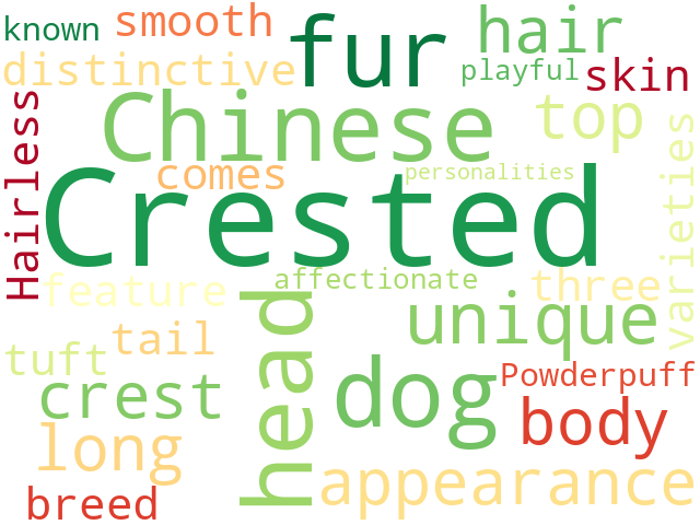 Word Cloud for chinese_crested_dog