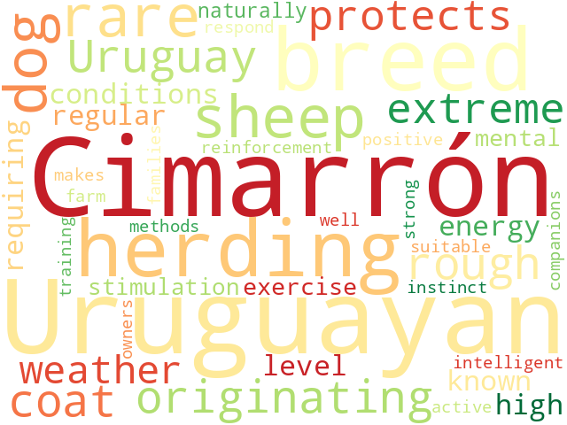 Word Cloud for cimarr_n_uruguayo