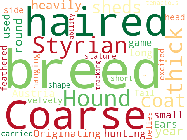 Word Cloud for coarse_haired_styrian_hound