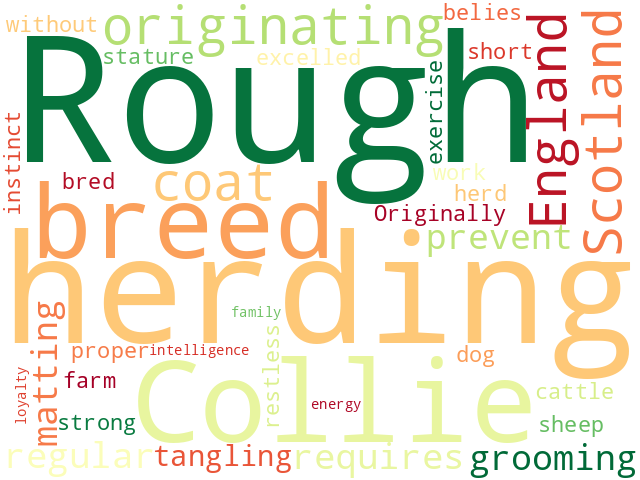Word Cloud for collie_rough
