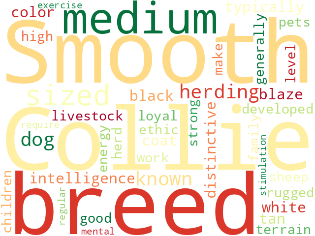 Word Cloud for collie_smooth