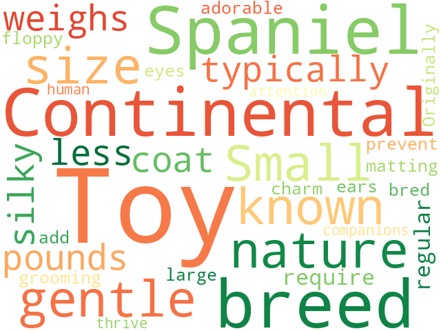 Word Cloud for continental_toy_spaniel