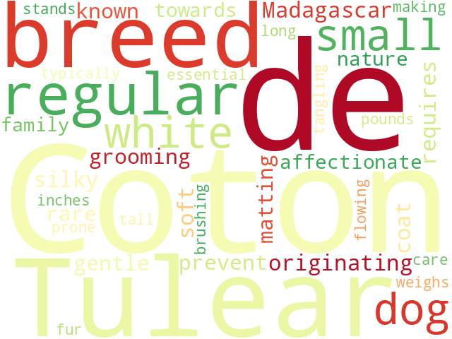 Word Cloud for coton_de_tulear