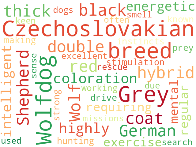 Word Cloud for czechoslovakian_wolfdog