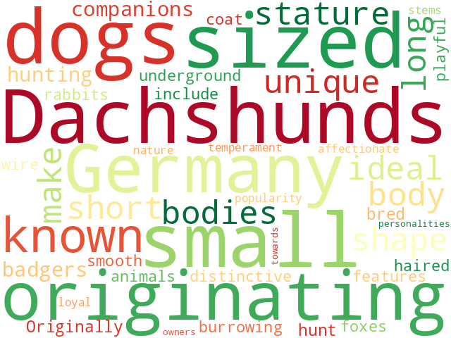 Word Cloud for dachshund