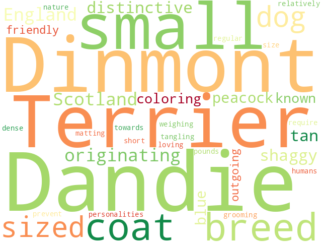 Word Cloud for dandie_dinmont_terrier