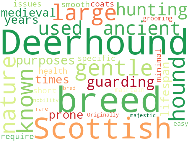 Word Cloud for deerhound