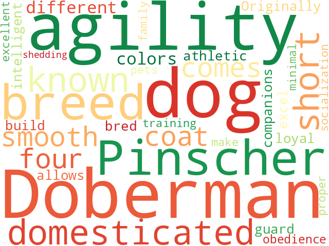 Word Cloud for dobermann