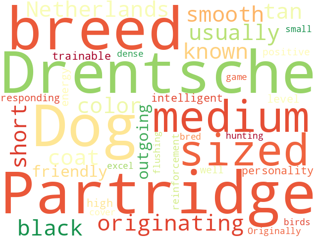Word Cloud for drentsche_partridge_dog