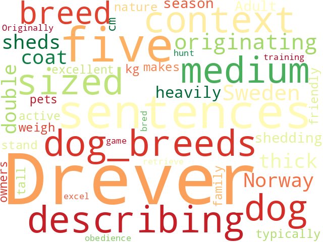 Word Cloud for drever