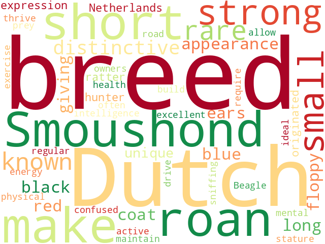 Word Cloud for dutch_smoushond