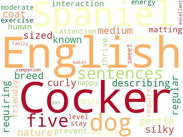 Word Cloud for english_cocker_spaniel