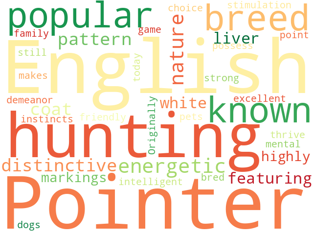 Word Cloud for english_pointer