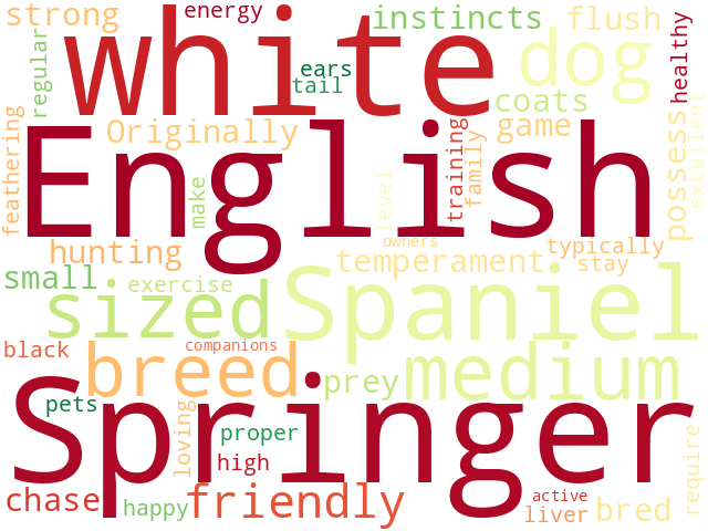 Word Cloud for english_springer_spaniel