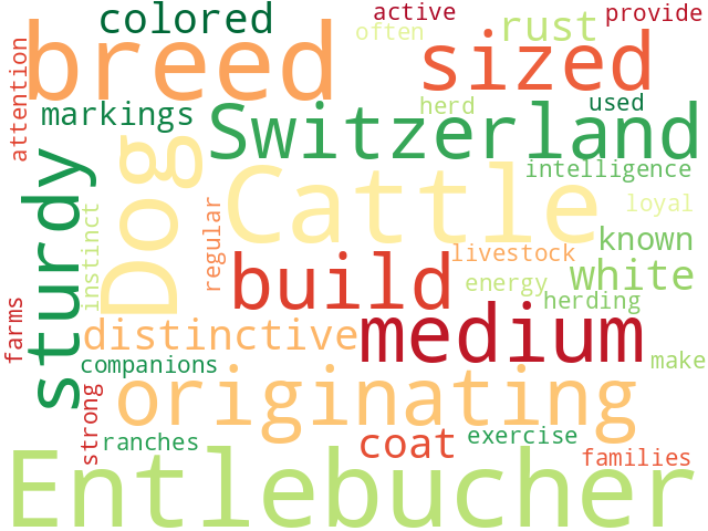 Word Cloud for entlebuch_cattle_dog