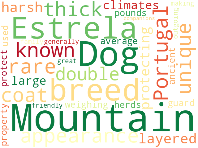 Word Cloud for estrela_mountain_dog