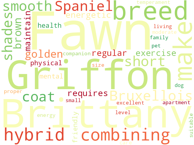 Word Cloud for fawn_brittany_griffon