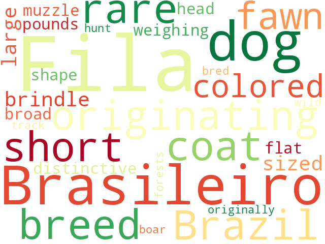 Word Cloud for fila_brasileiro