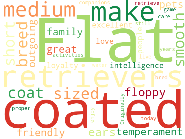 Word Cloud for flat_coated_retriever