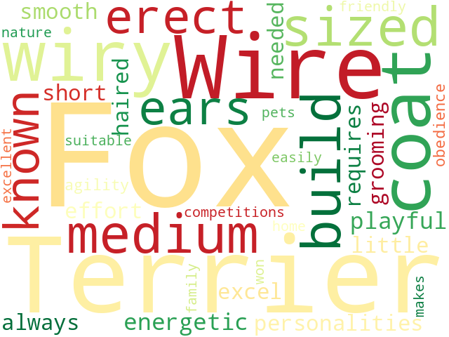 Word Cloud for fox_terrier_wire