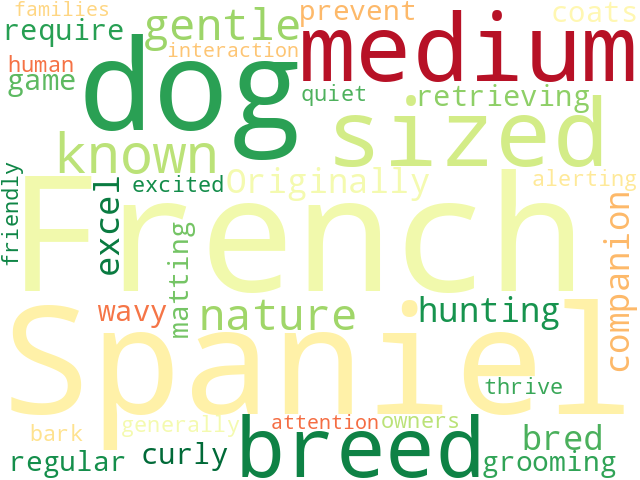 Word Cloud for french_spaniel