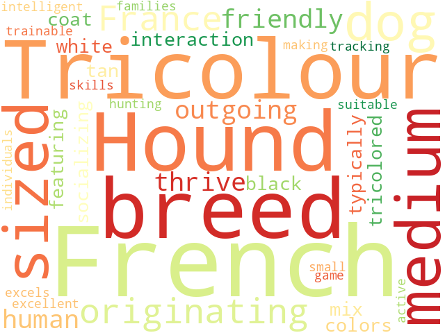 Word Cloud for french_tricolour_hound