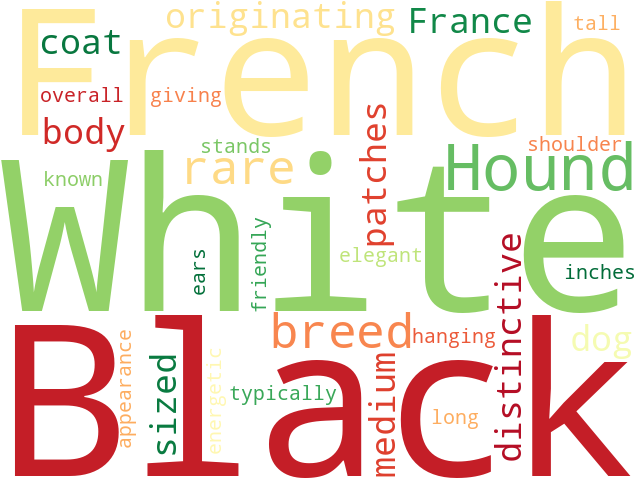 Word Cloud for french_white_black_hound