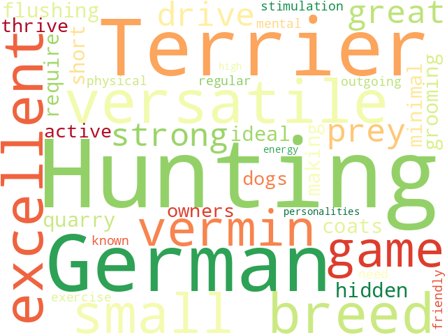 Word Cloud for german_hunting_terrier