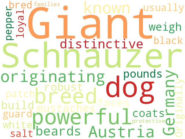 Word Cloud for giant_schnauzer