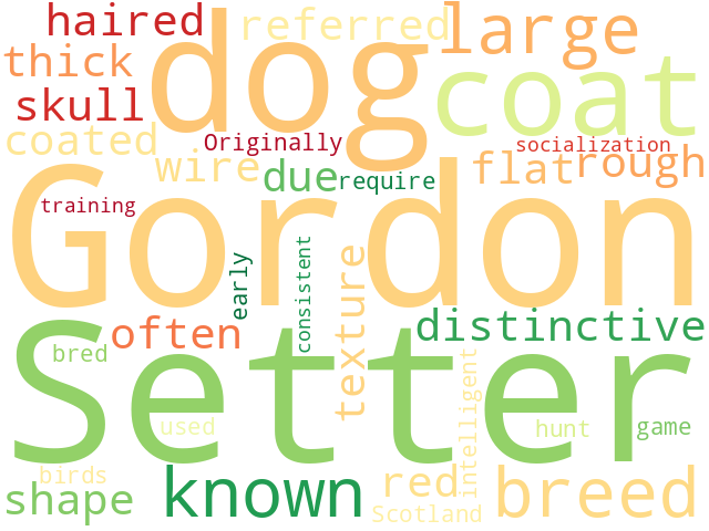 Word Cloud for gordon_setter