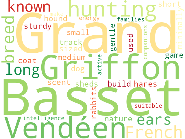 Word Cloud for grand_basset_griffon_vendeen