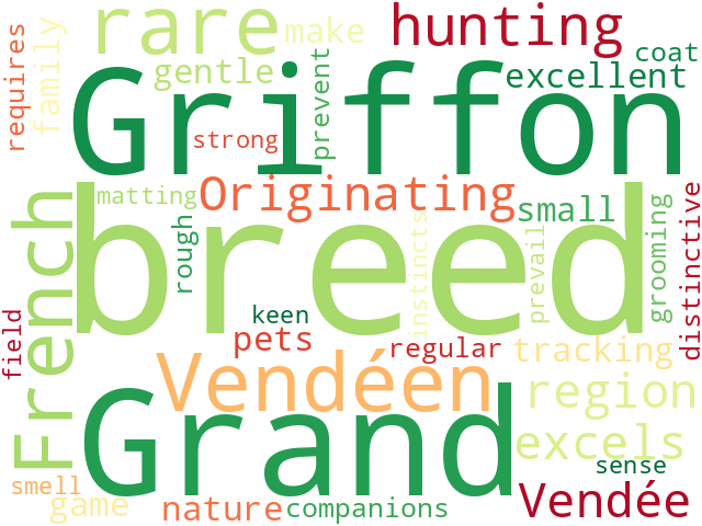 Word Cloud for grand_griffon_vendeen