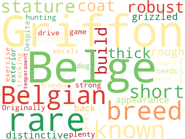 Word Cloud for griffon_belge