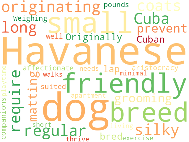 Word Cloud for havanese