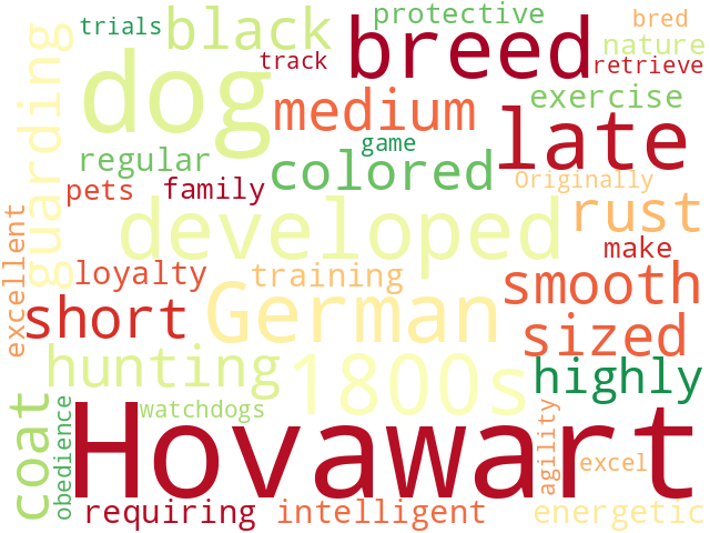 Word Cloud for hovawart