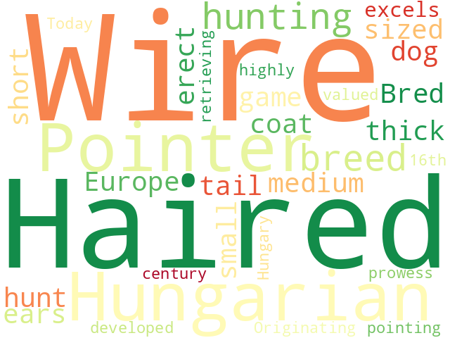 Word Cloud for hungarian_wire_haired_pointer