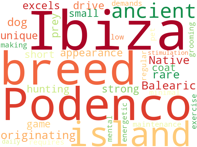 Word Cloud for ibizan_podenco