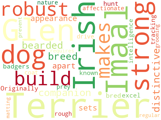 Word Cloud for irish_glen_of_imaal_terrier