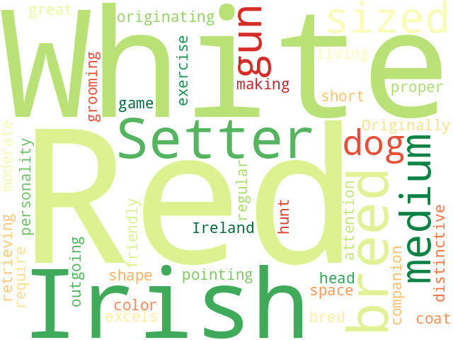 Word Cloud for irish_red_and_white_setter
