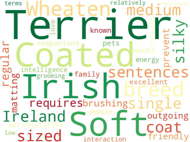 Word Cloud for irish_soft_coated_wheaten_terrier