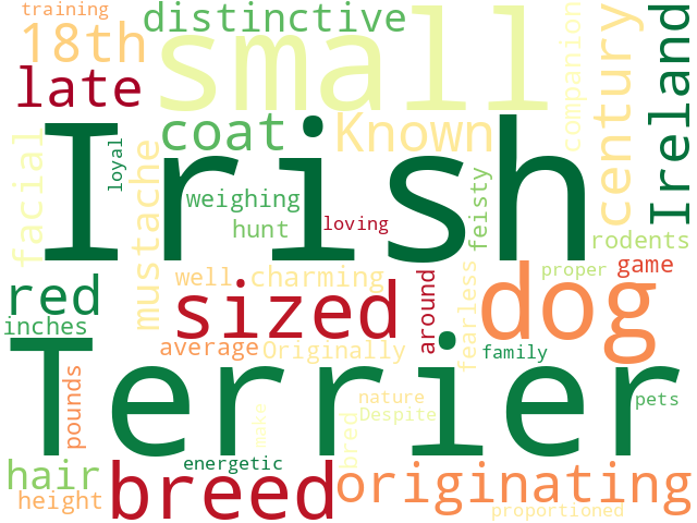 Word Cloud for irish_terrier