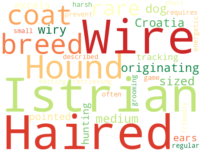 Word Cloud for istrian_wire_haired_hound