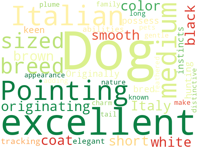 Word Cloud for italian_pointing_dog