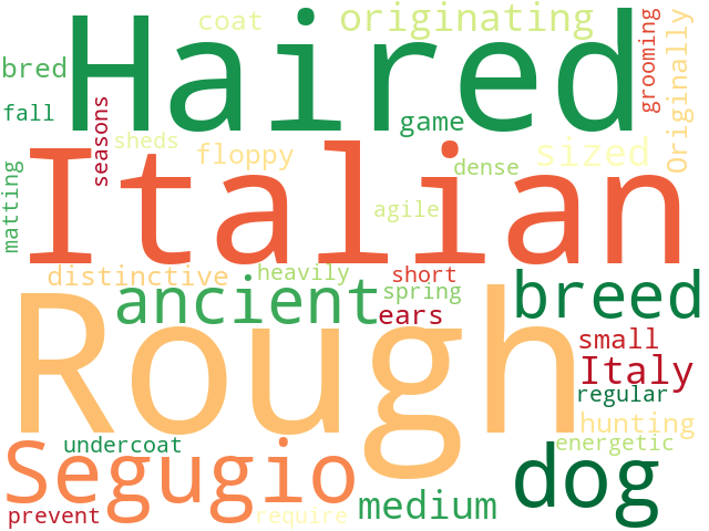 Word Cloud for italian_rough_haired_segugio