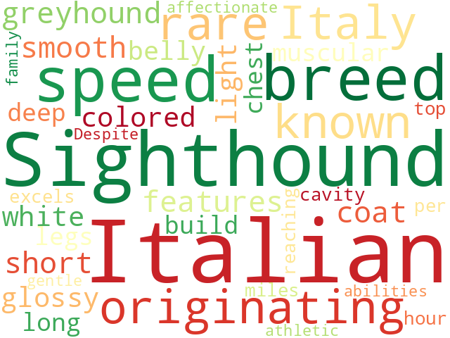 Word Cloud for italian_sighthound