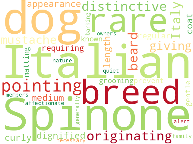 Word Cloud for italian_spinone