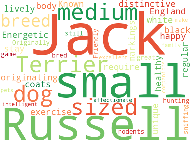 Word Cloud for jack_russell_terrier