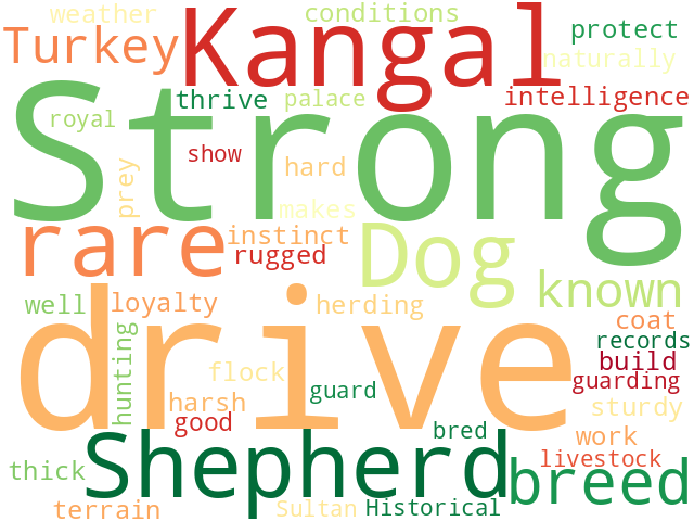 Word Cloud for kangal_shepherd_dog