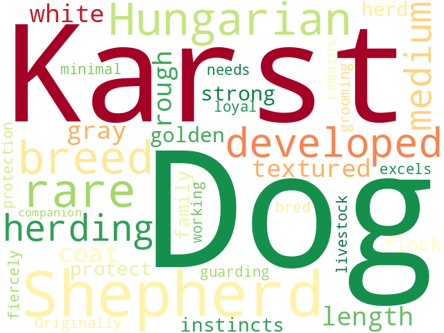 Word Cloud for karst_shepherd_dog